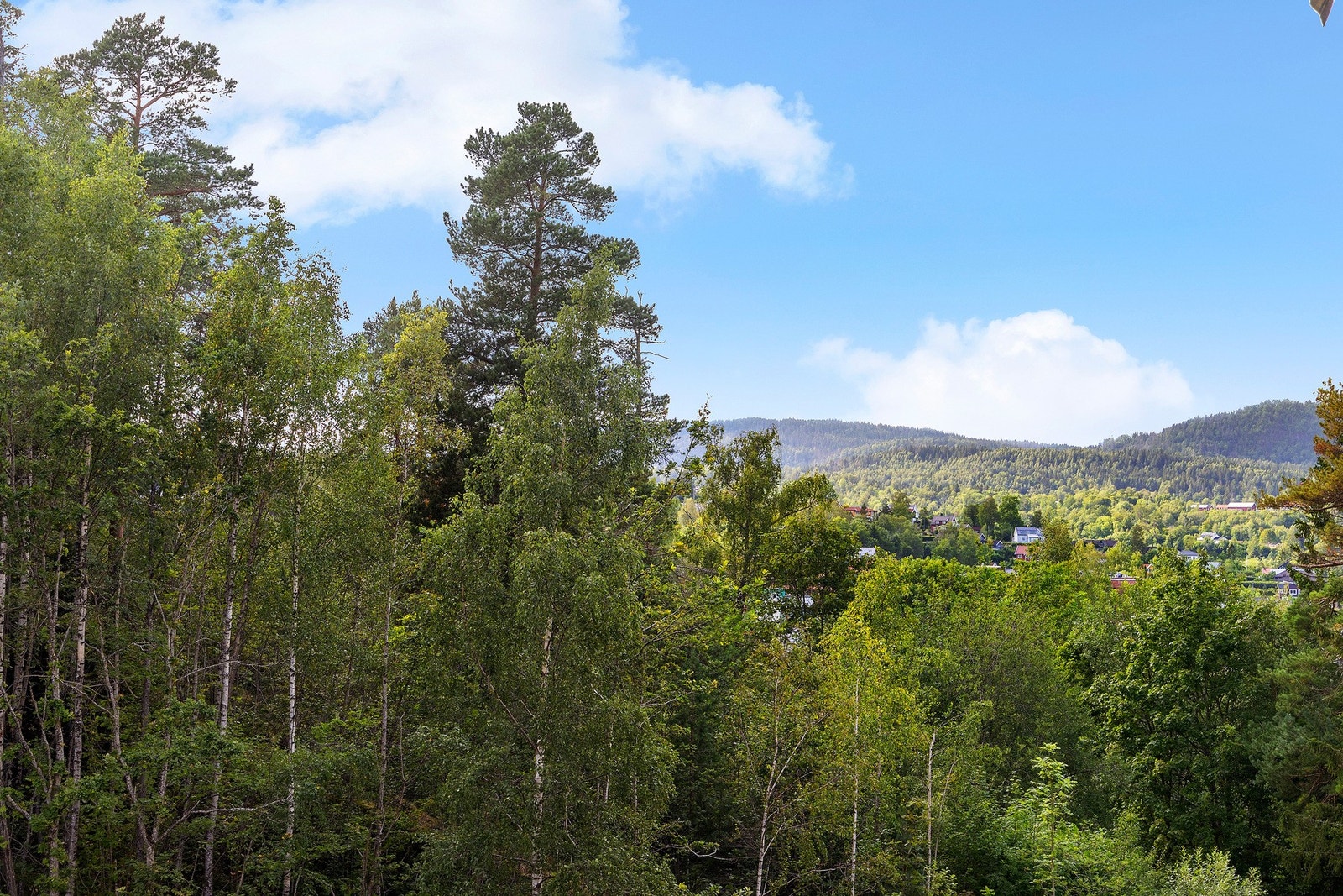 Skaugumåsen tilbyr flotte turmuligheter året rundt, og ligger i gangavstand fra sentrum. Galleribilde