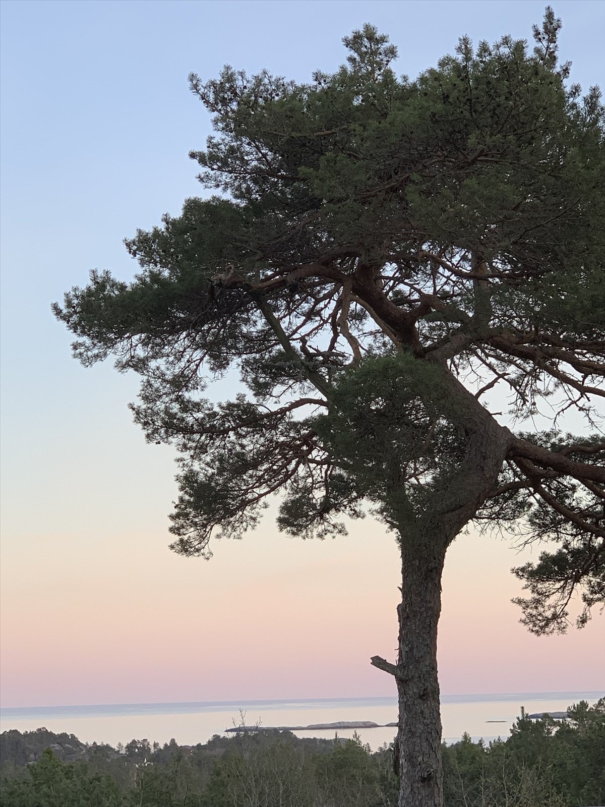 Privat bilde Galleribilde