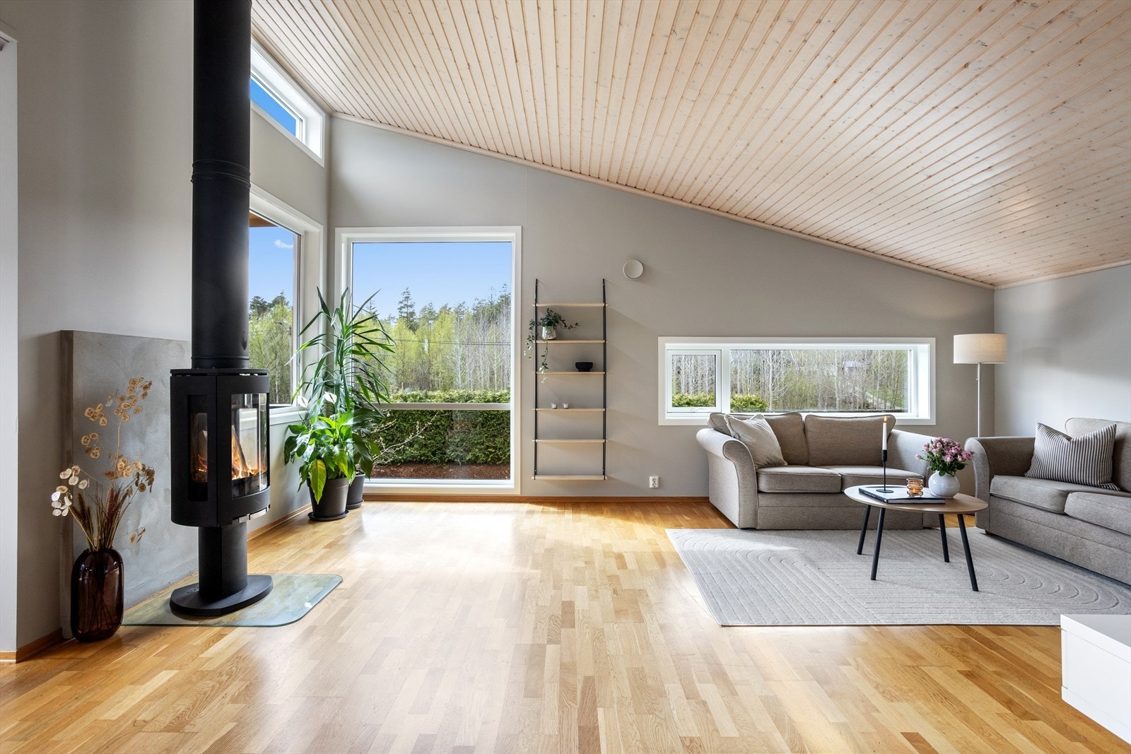 Sjekk den takhøyden! Galleribilde