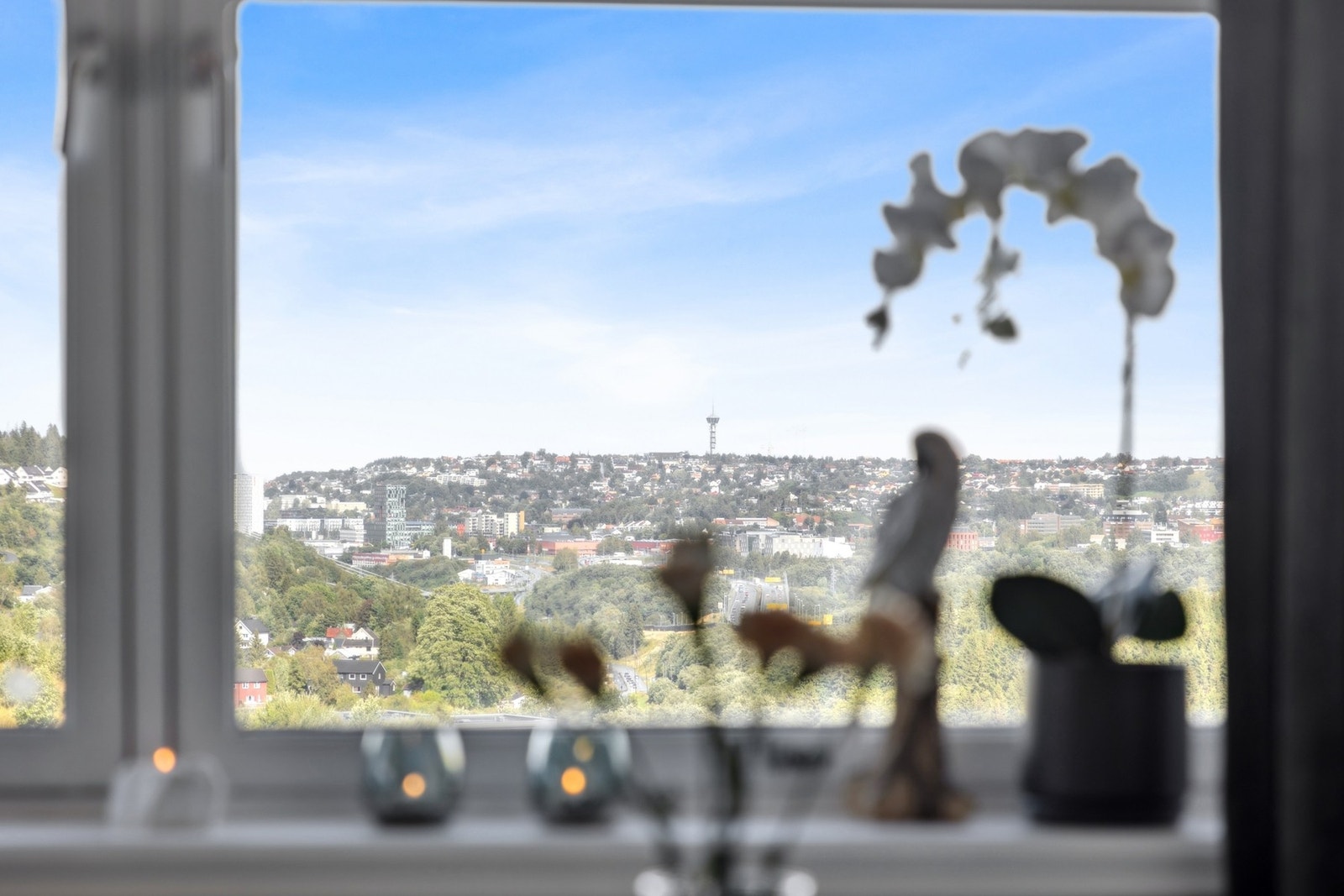 Den vakre utsikten fra leiligheten. Galleribilde