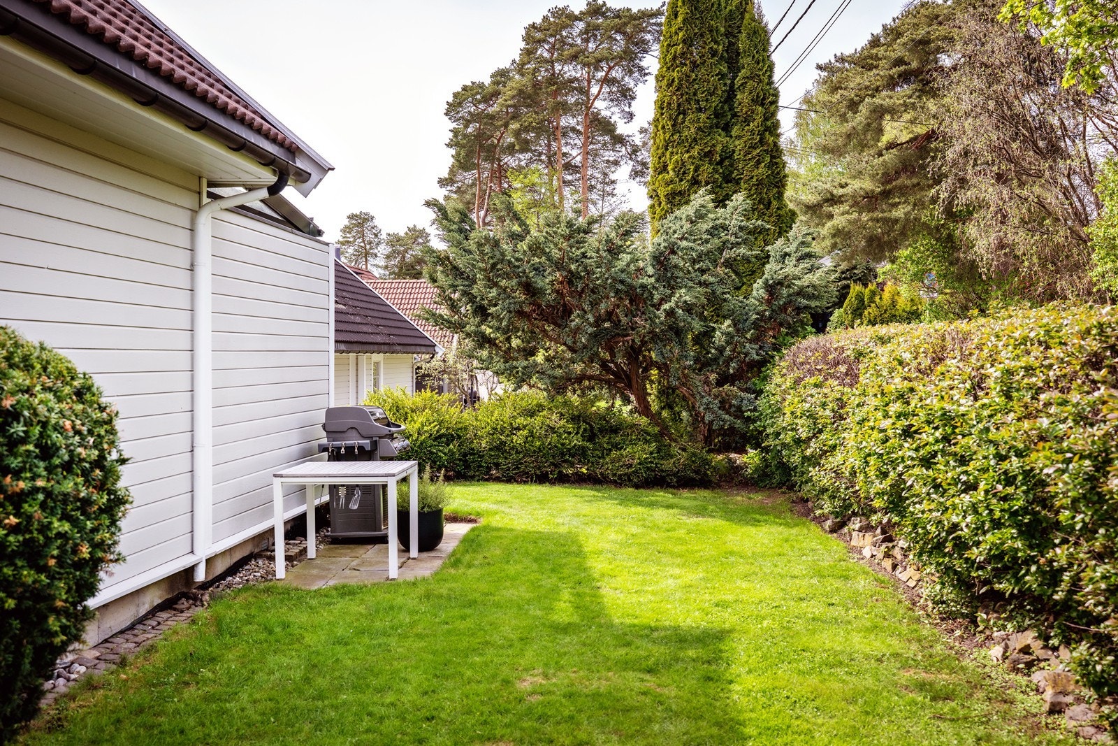 Pent opparbeidet hage med plen, blomsterbed og busker. Galleribilde