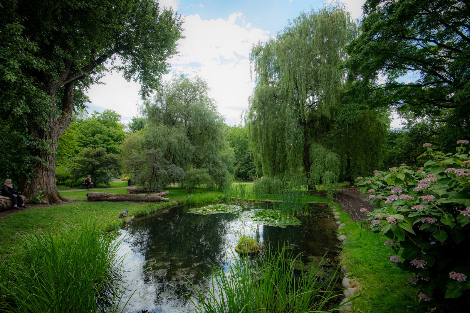 I nærområdet ligger også Botanisk hage, en idyllisk park med et rikt planteliv som også er en del av Naturhistorisk, Zoologisk og Geologisk museum Galleribilde