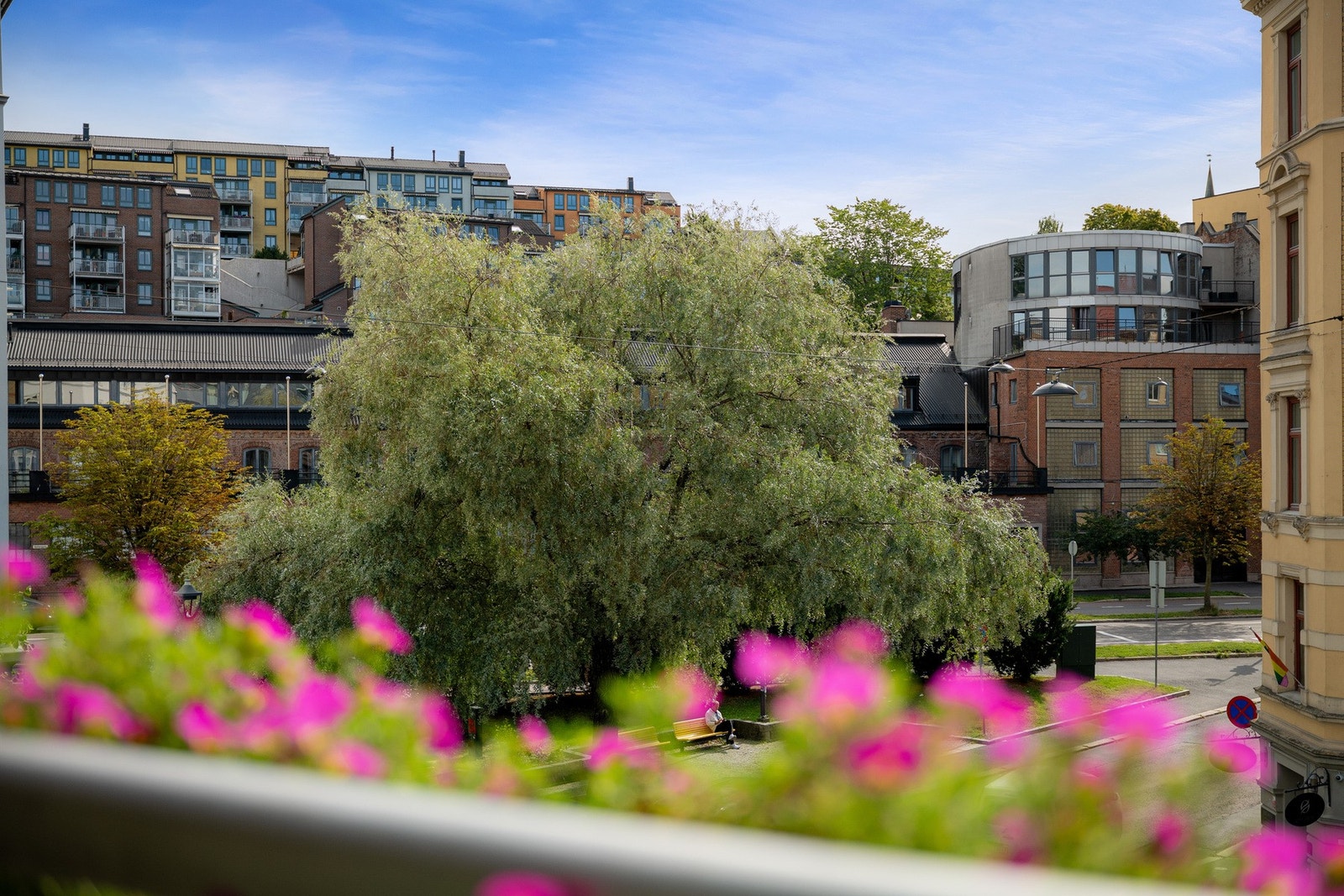 Hyggelig utsyn mot Kampen Galleribilde