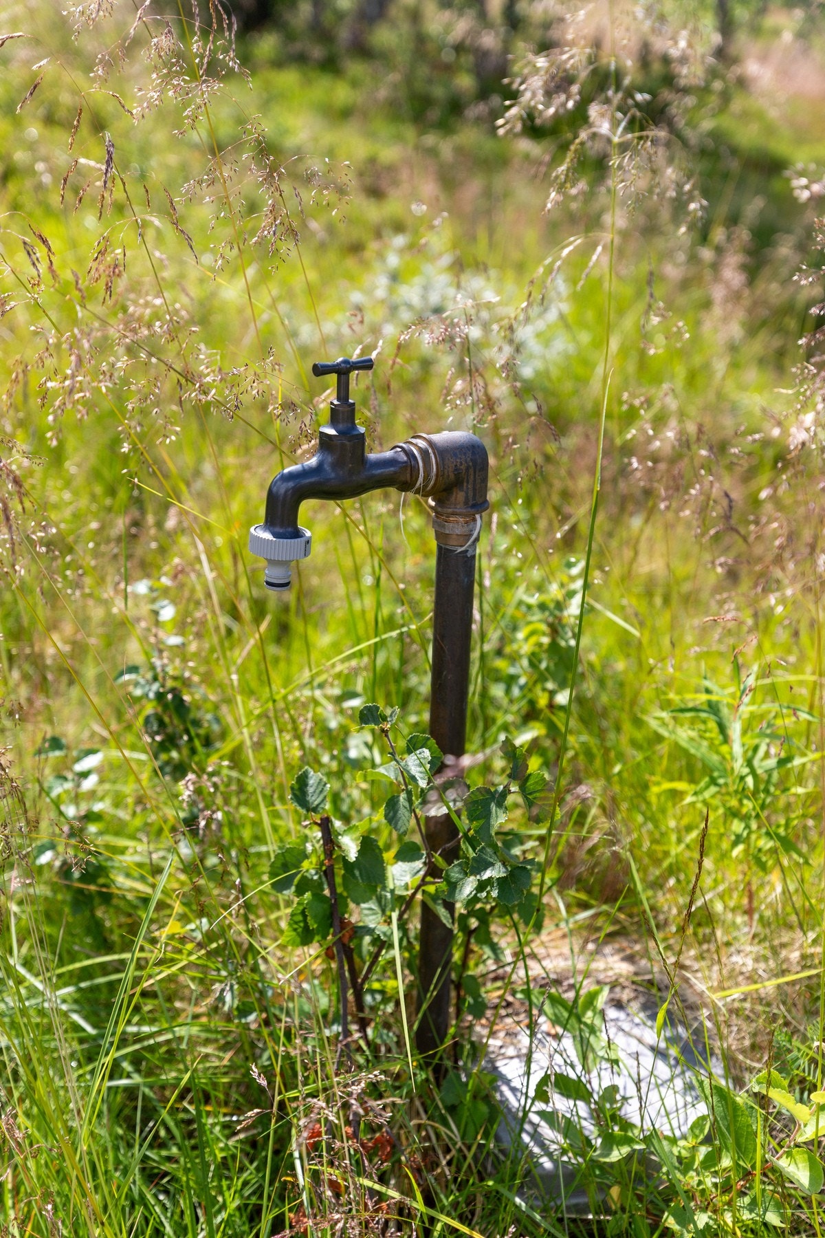 Det er egen borebrønn på tomten med vannpumpe tilknyttet aggregatstrøm med tappepunkt/tappekran på tunet Galleribilde