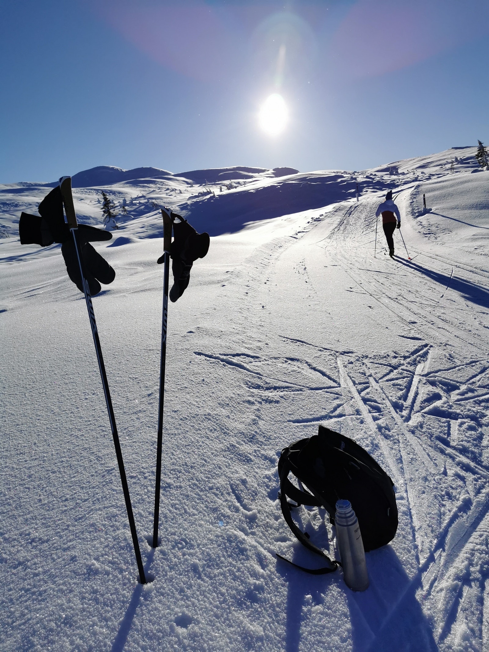 På vei opp til Gyranfisen som med sine 1127moh er den høyeste fjelltoppen på Vikerfjell. Det er trappede stigninger opp mot toppen og turen er overkommelig for alle. Galleribilde