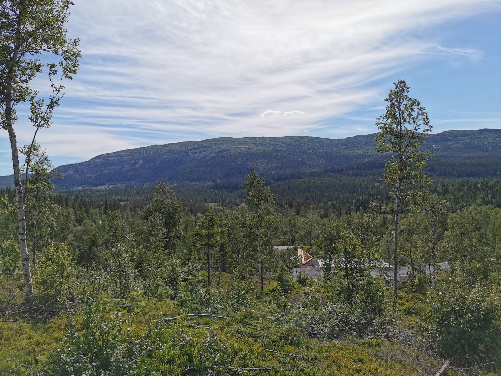 Fantastisk utsikt fra tomtene mot vest Galleribilde