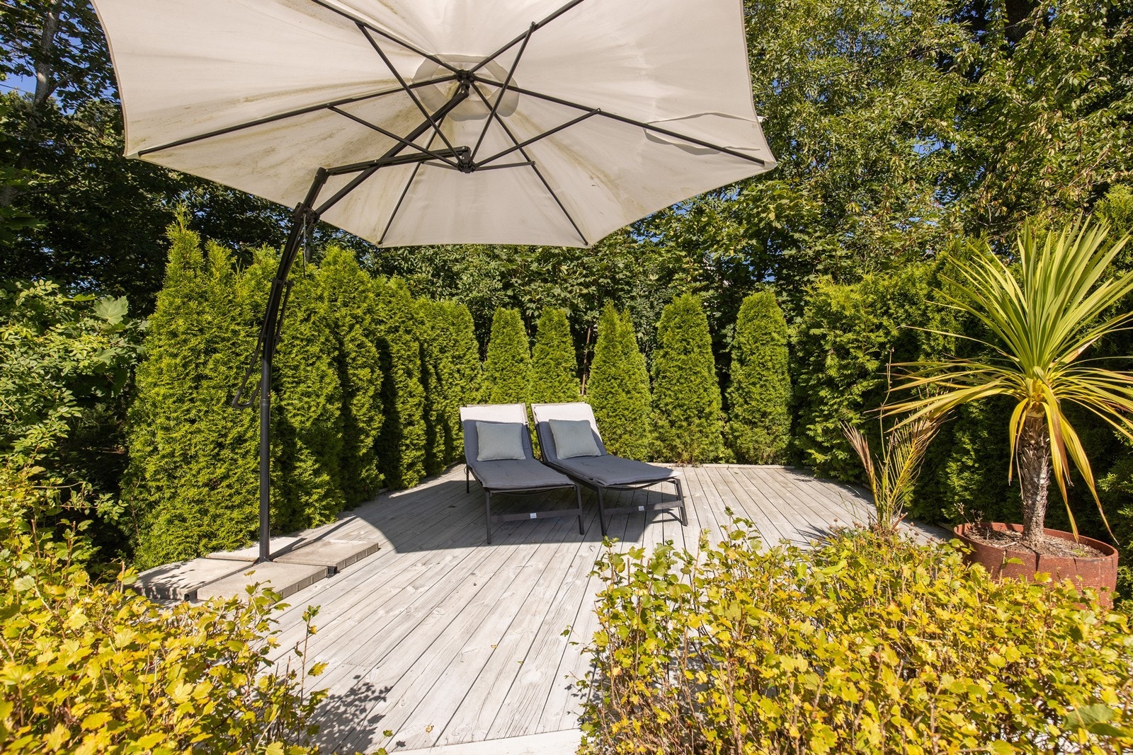 Terrasseplatting på øverste nivå - Ingen innsyn og flott utsikt. Galleribilde