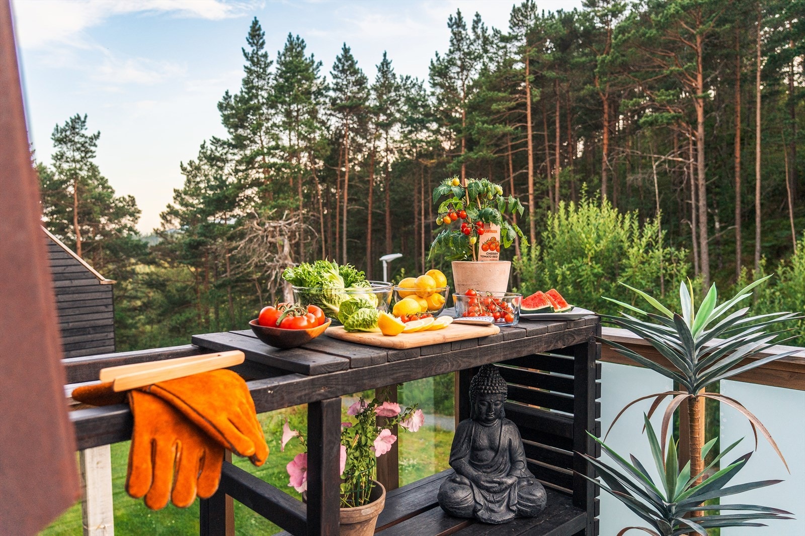Her kommer du tett på naturen. Galleribilde