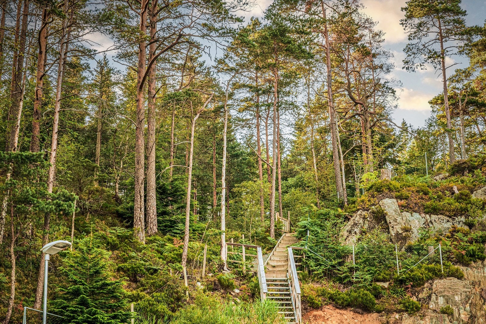 Nydelige naturstier og turområder rett utenfor leiligheten. Galleribilde