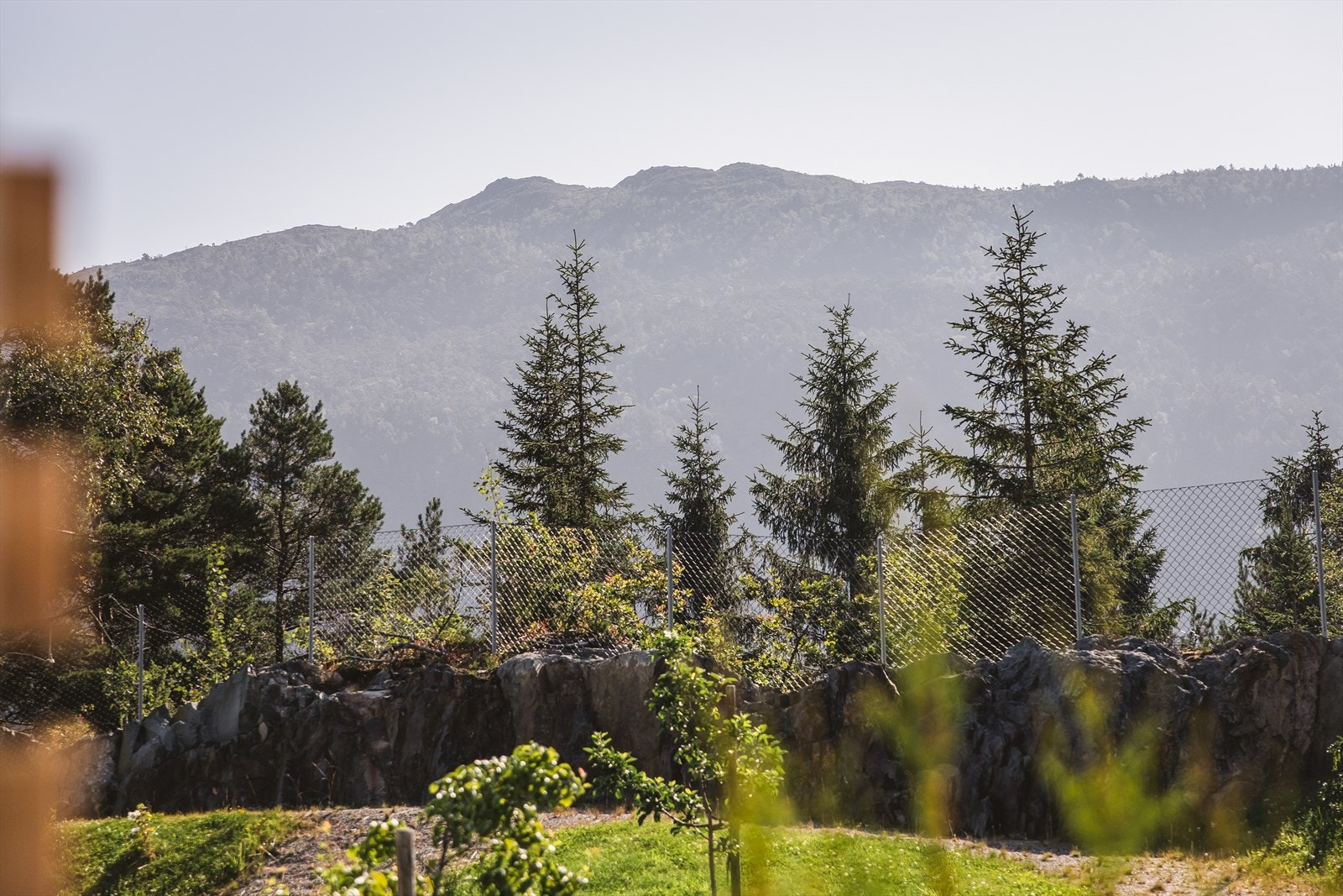 Umiddelbar nærhet til nydelige rekreasjons områder. Fiske-, bade-, kajakk-muligheter i nærområdet. Galleribilde
