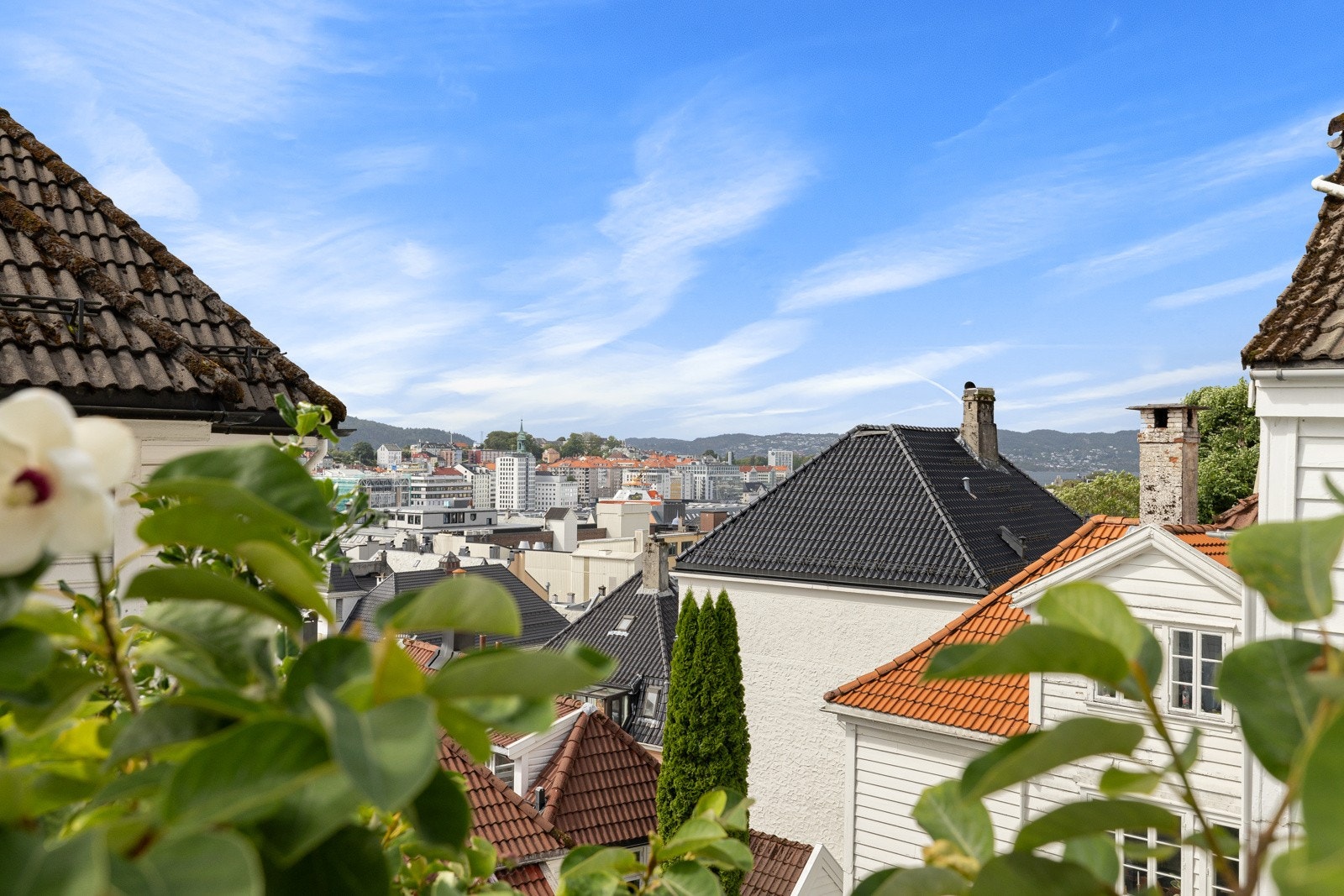 Bildet viser utsikt fra terrassen Galleribilde