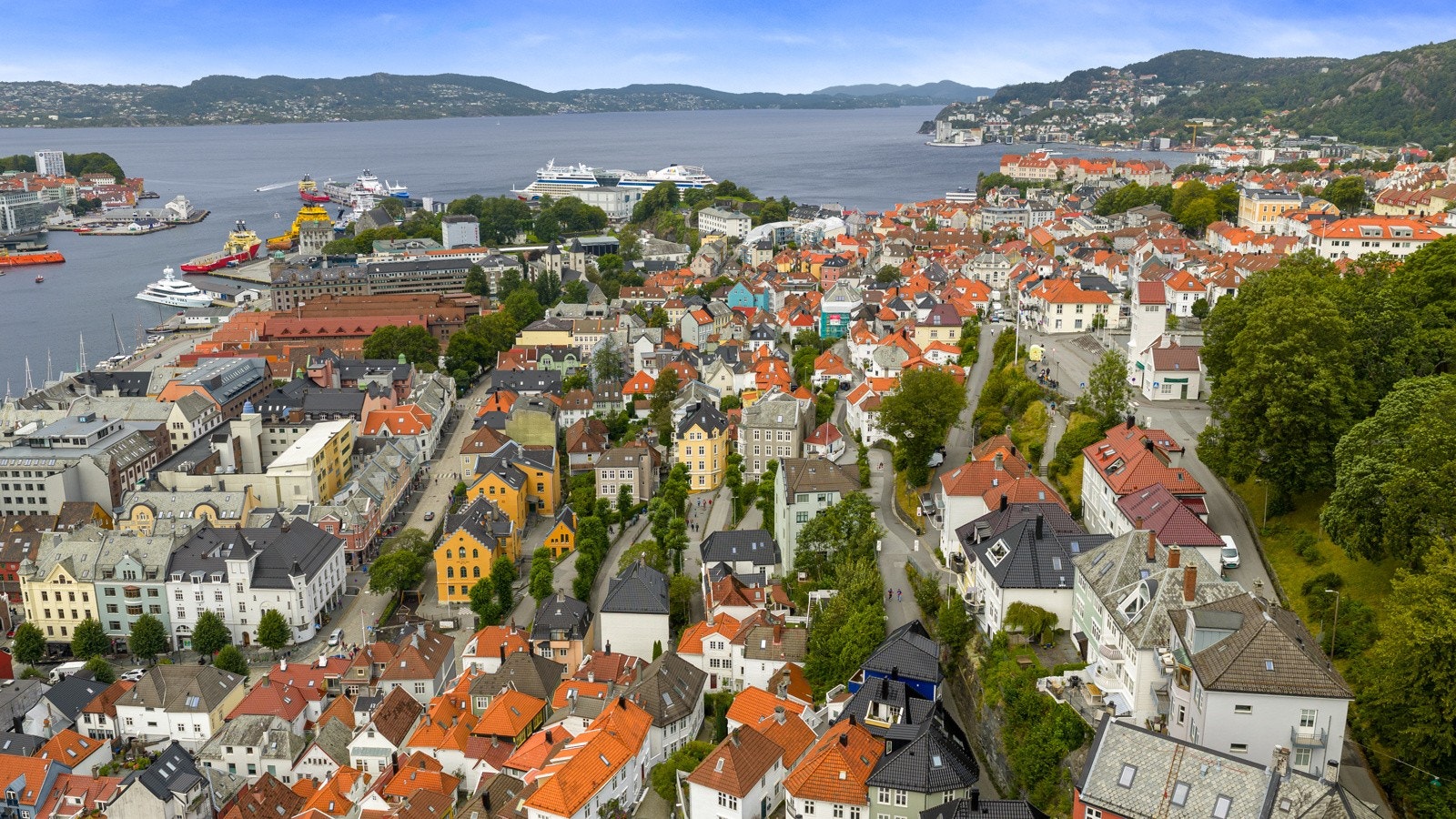 Kun et par minutters gange til Skansen og videre til Fjellveien med noe av det vakreste turterrenget Bergen kan by på. Galleribilde