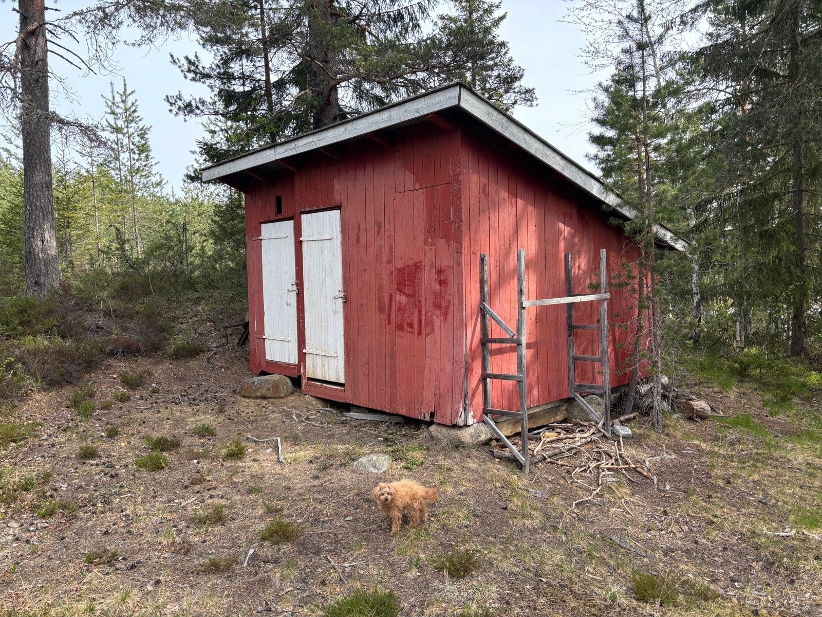 Uthus med utedo og vedbod. Galleribilde
