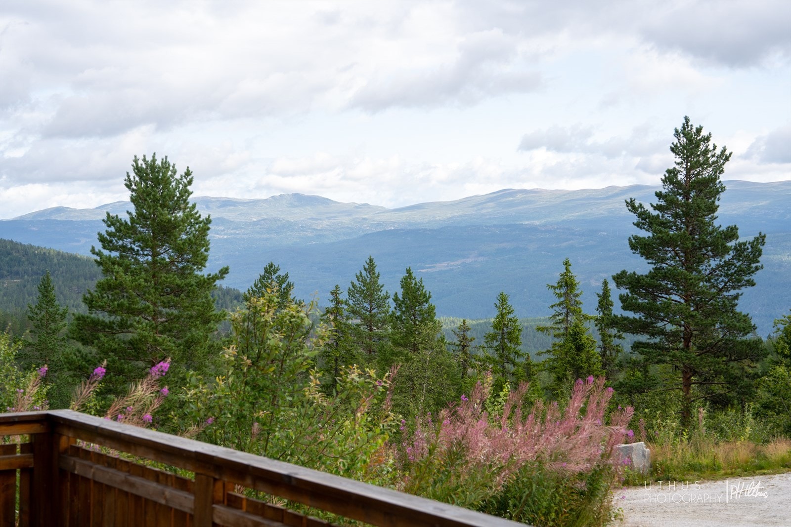 Fra stua er det direkte adkomst til en stor terrasse på over 60 m2. Galleribilde