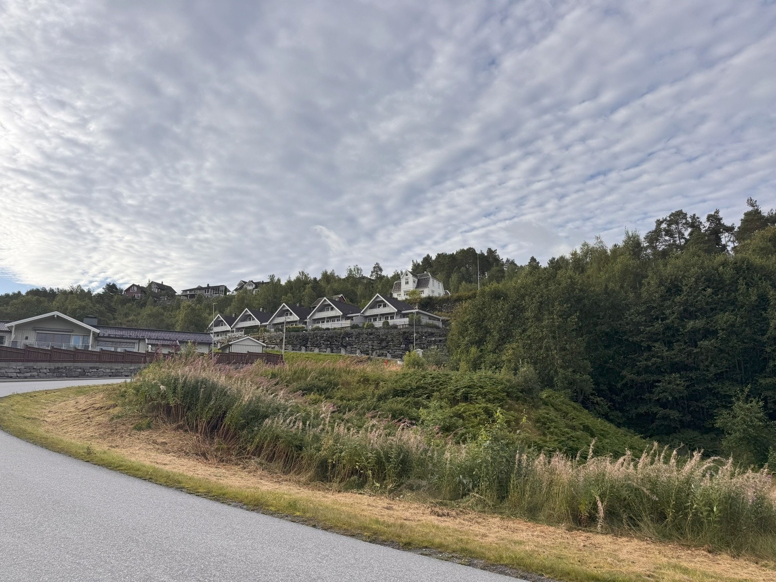 Tomteområdet Galleribilde