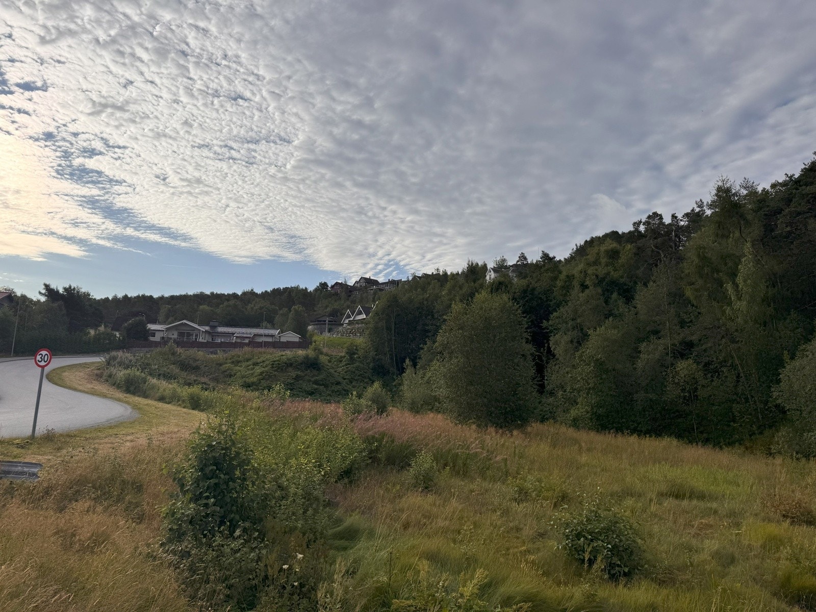Tomteområdet sett frå vest Galleribilde