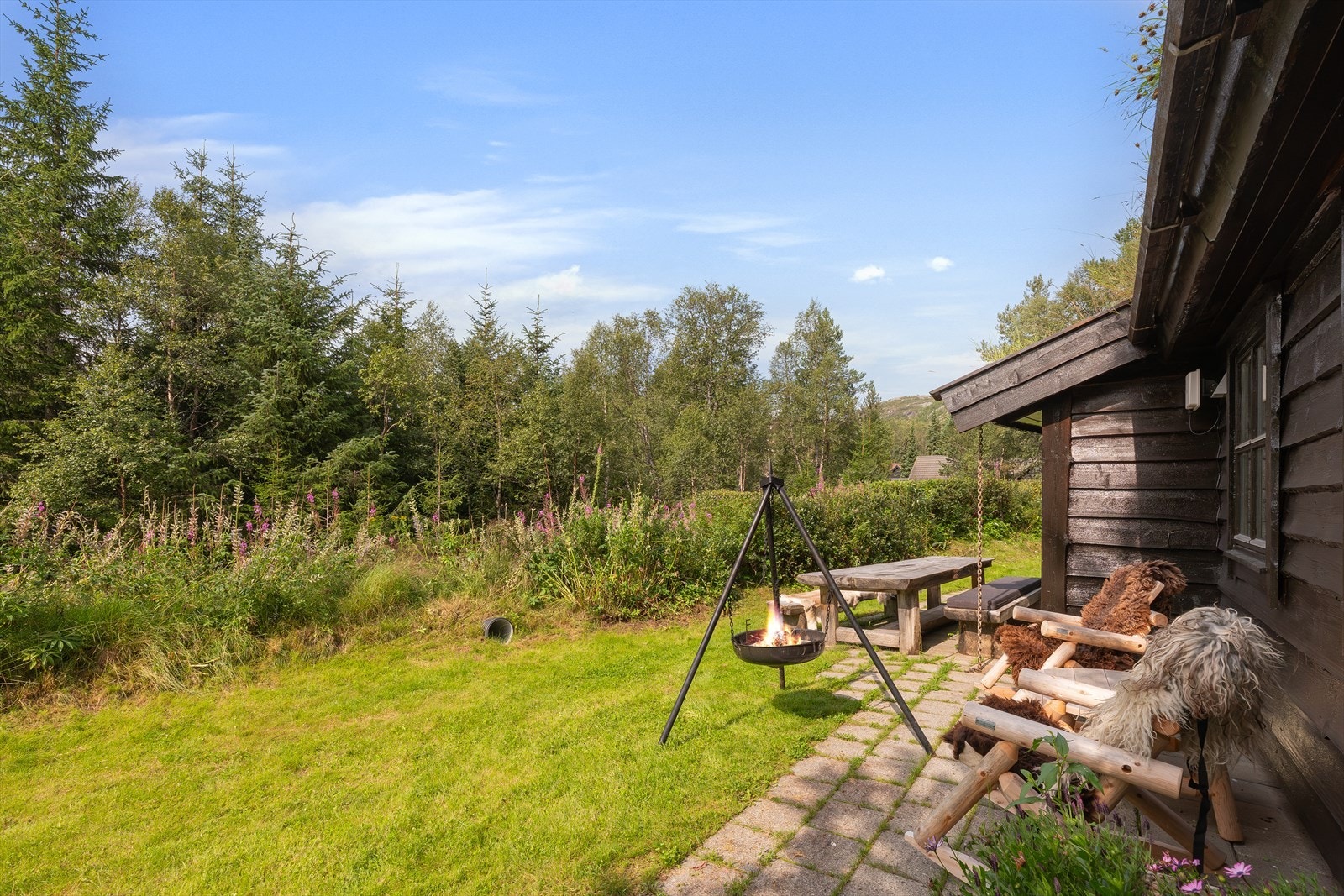 DSCF8437 Galleribilde