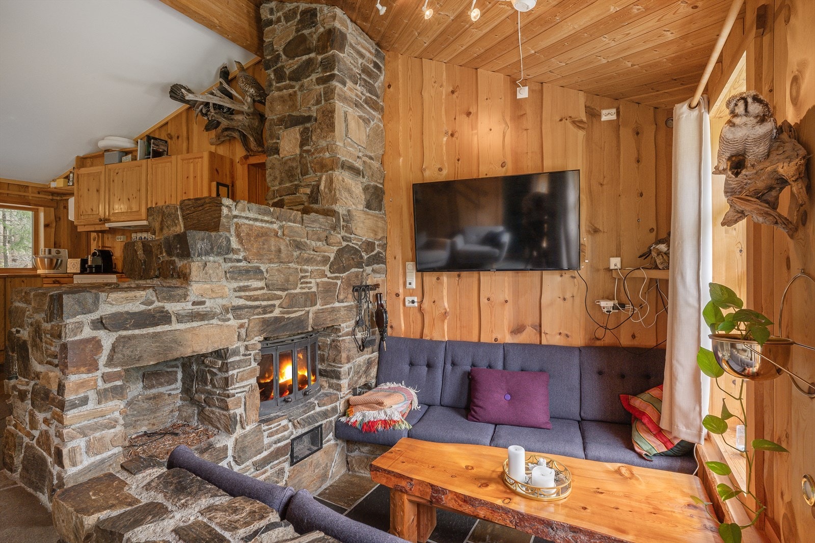 DSCF8475 Galleribilde