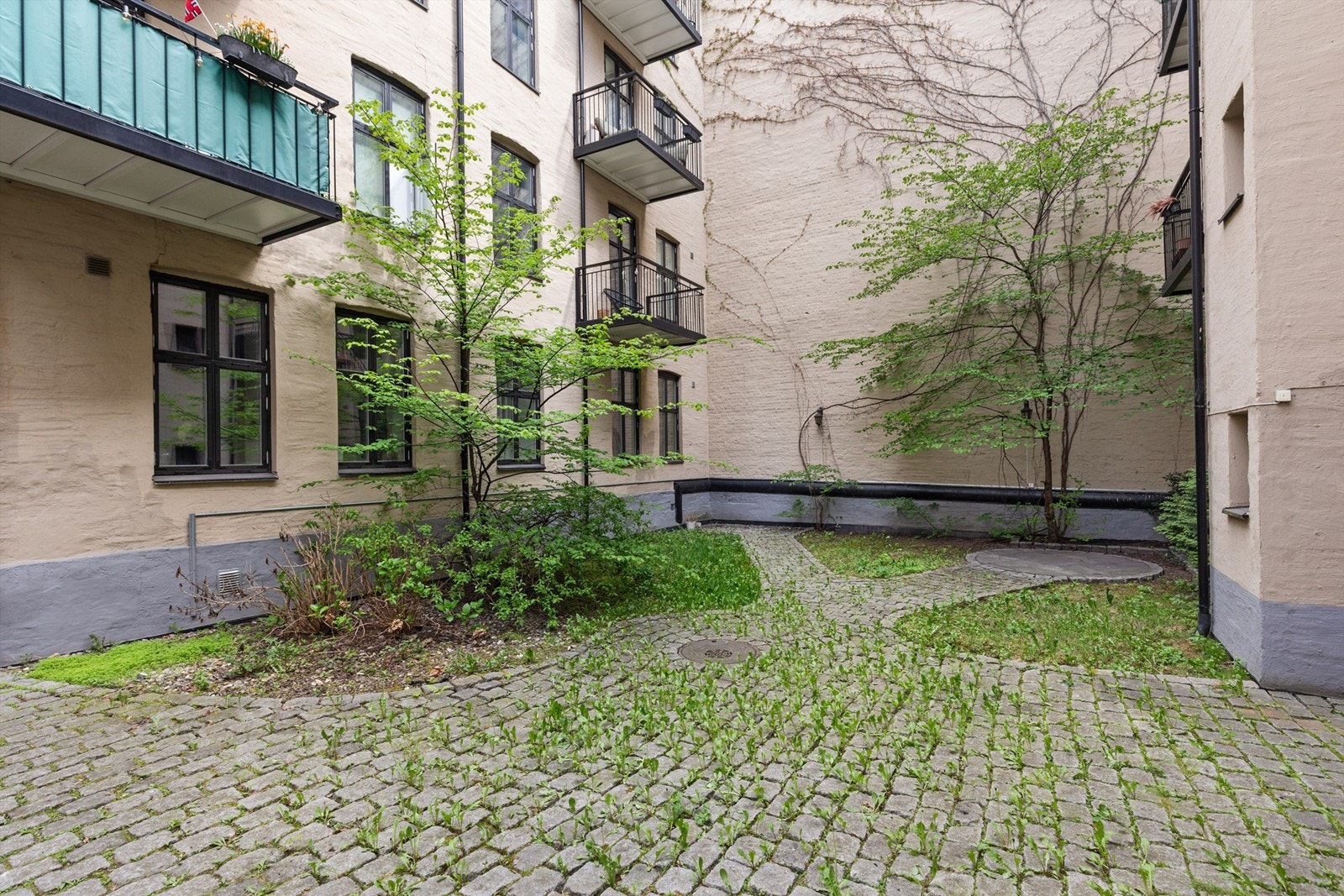 Felles bakgård som er pent opparbeidet med asfalterte og steinbelagte internveier med diverse beplantning. Galleribilde