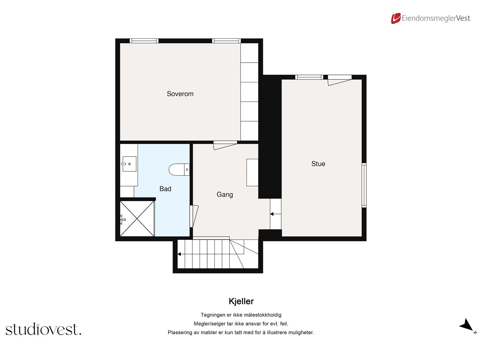 Plantenging kjeller. Galleribilde