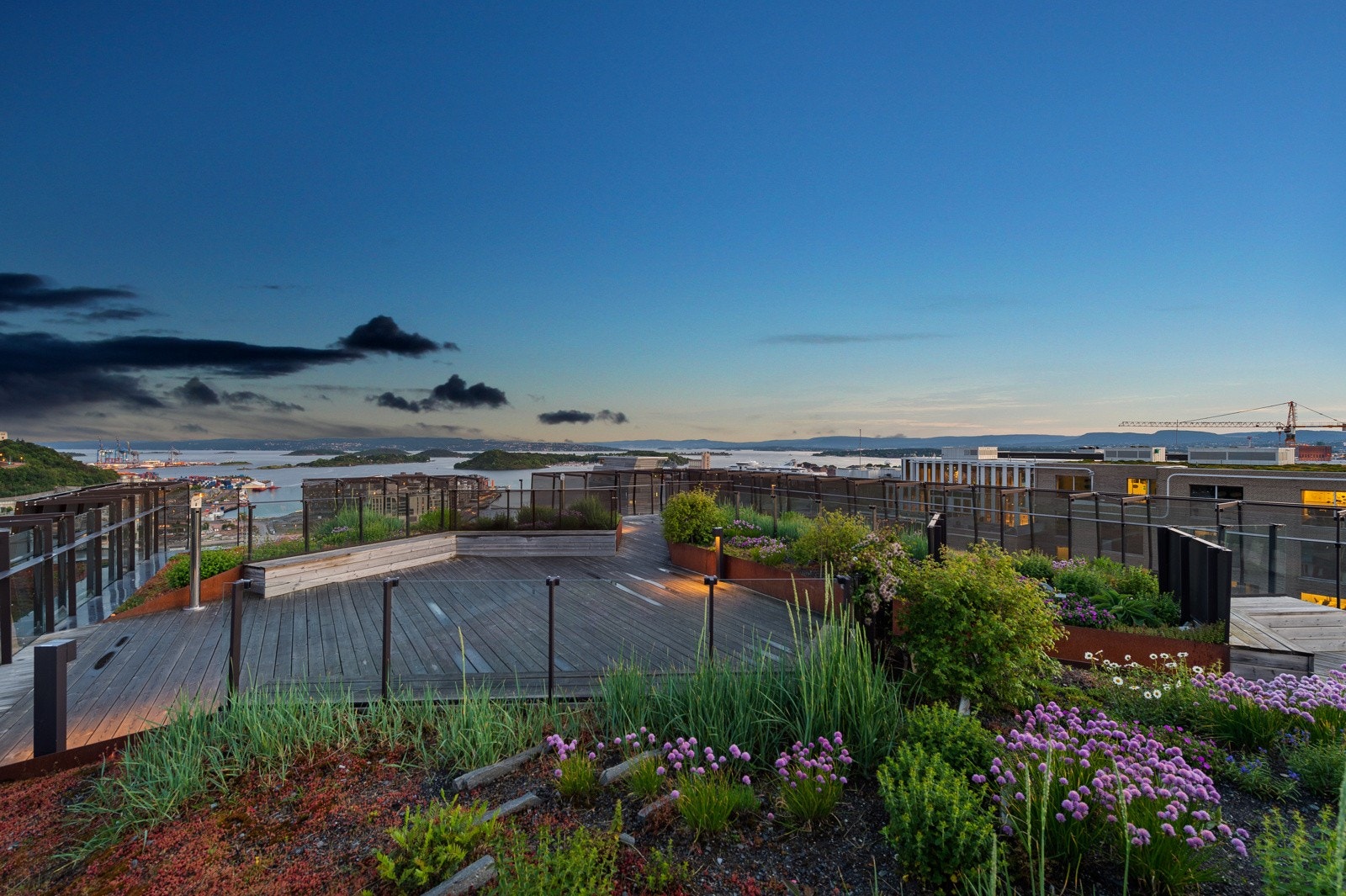 Felles takterrasse med fantastisk panoramautsikt. Galleribilde