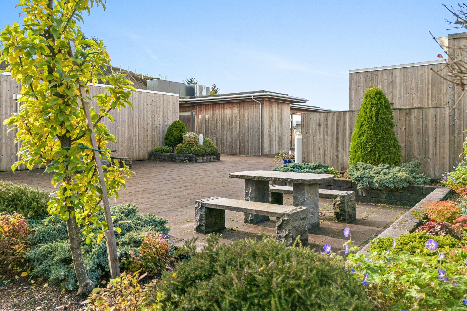 Fellesområde. Galleribilde