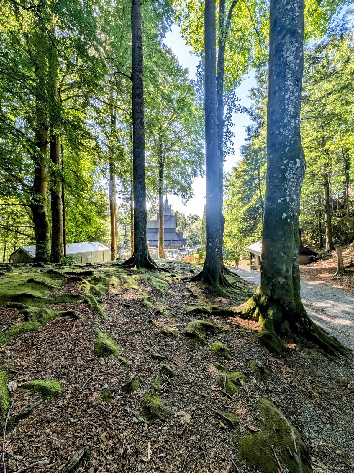 Rundt Fantoft Stavkirke er det et nettverk av stier. Galleribilde