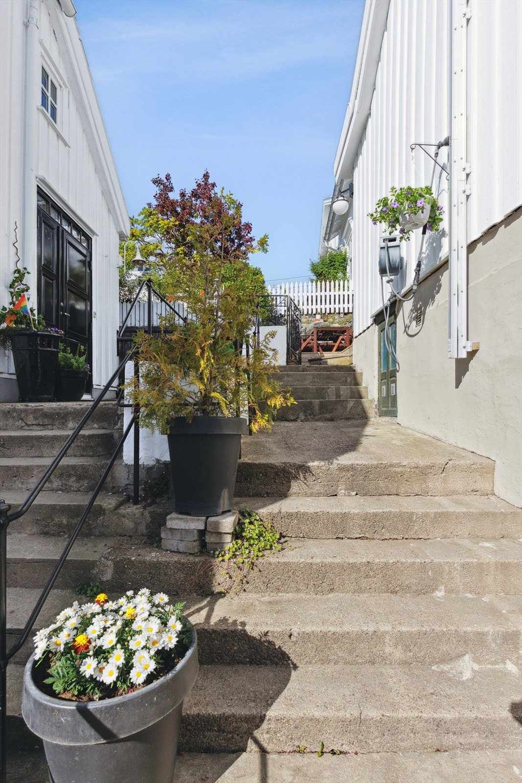 Herlige uteplasser på eiendommen. Galleribilde