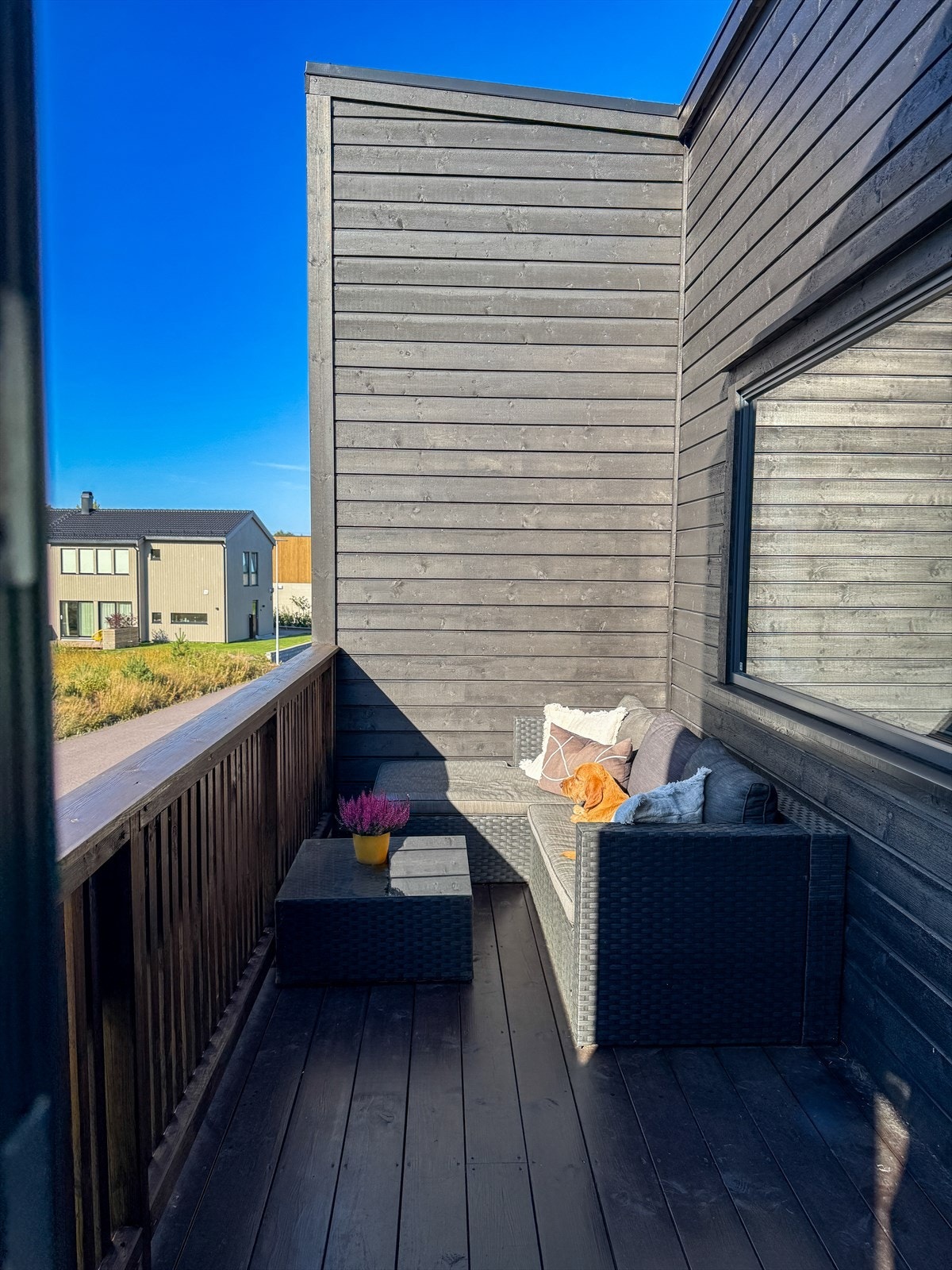 Selgers bilde. Galleribilde