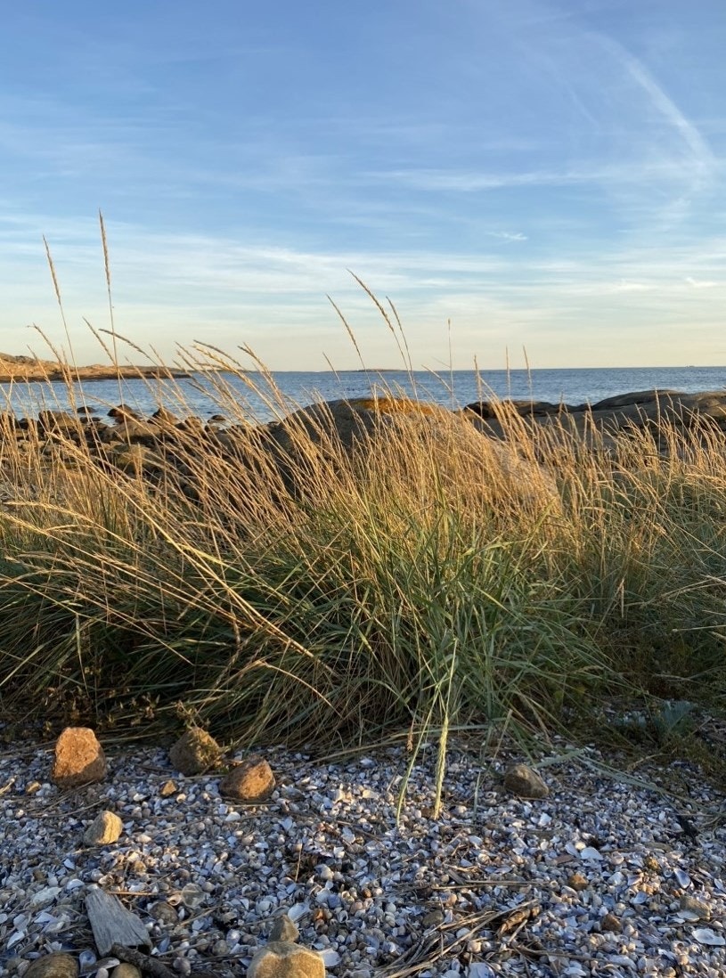 Fra nærområdet Galleribilde