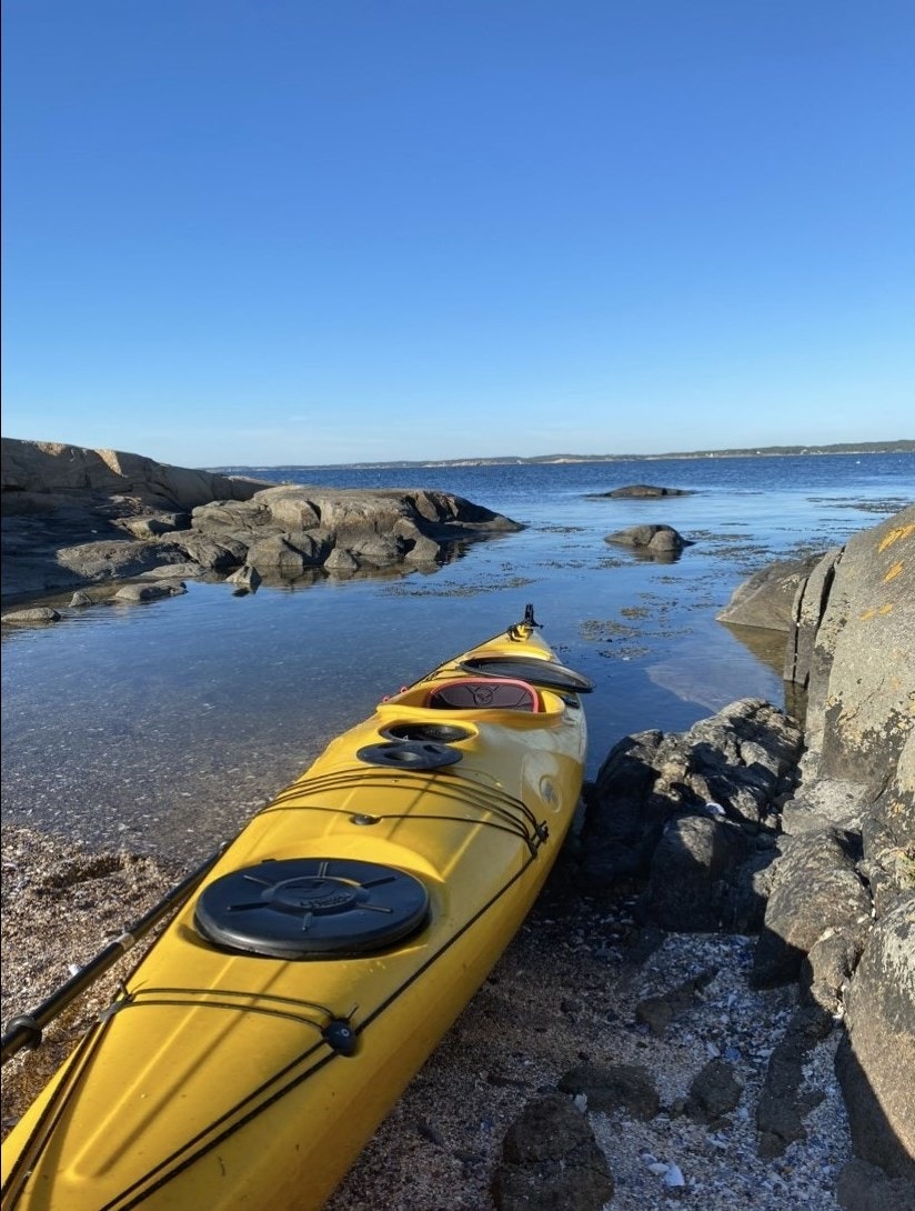 Fra nærområdet Galleribilde