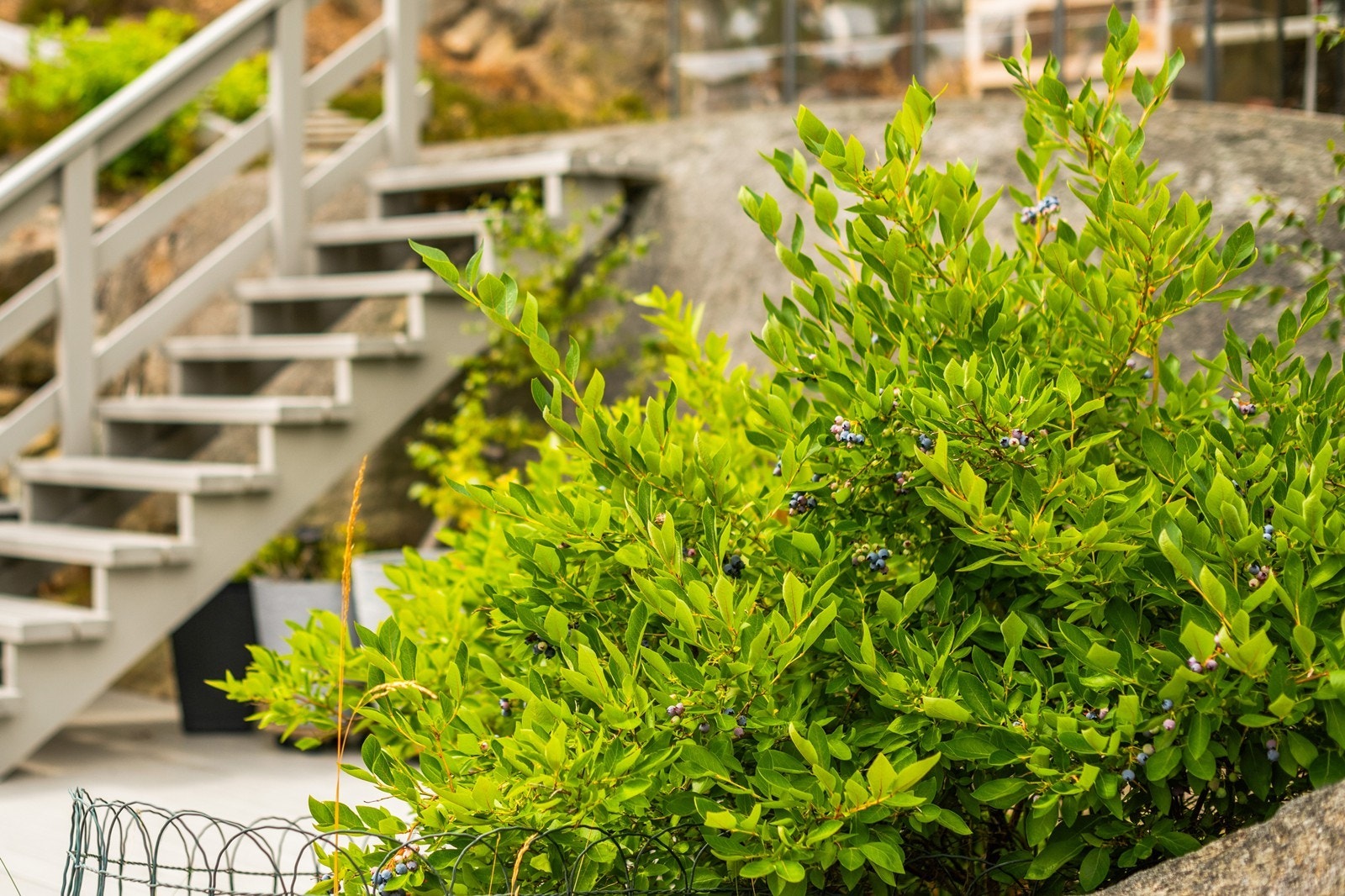 Hoveinngangen er opp trappen, men det er også inngangsdør nede i 1. etasje Galleribilde