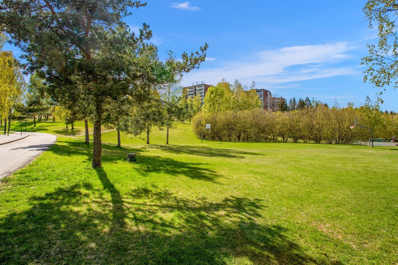 Beliggenheten kombinerer det beste fra to verdener: grønne omgivelser og urbane kvaliteter med enkel tilgang til Oslo sentrum. Galleribilde