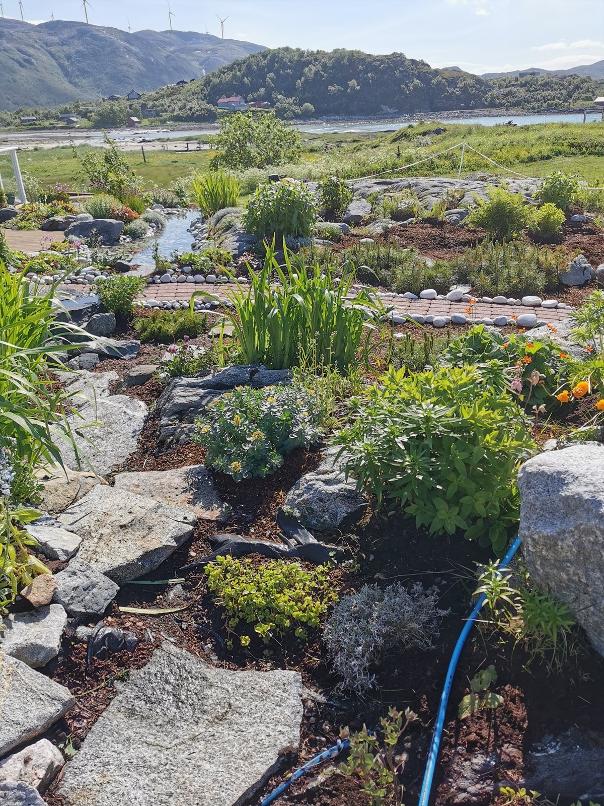 Selgers private bilder. Galleribilde