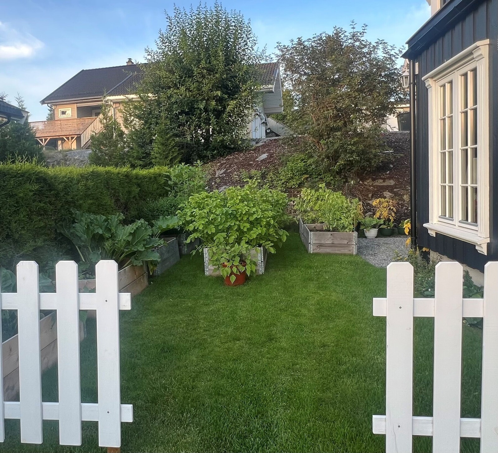 Selgers egne bilder Galleribilde