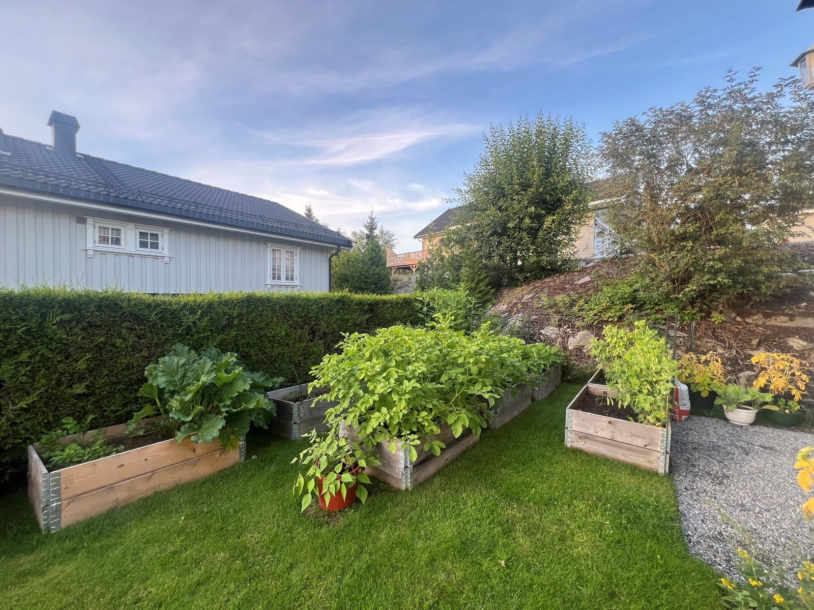 Selgers egne bilder Galleribilde