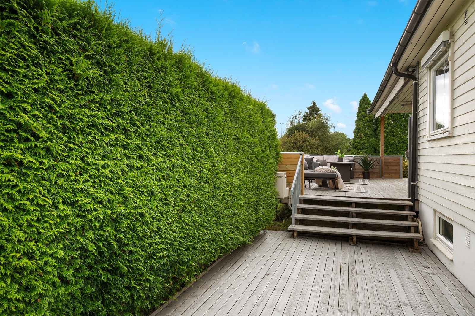 En tett og fin hekk skjermer for innsyn og skaper en privat uteplass. Galleribilde