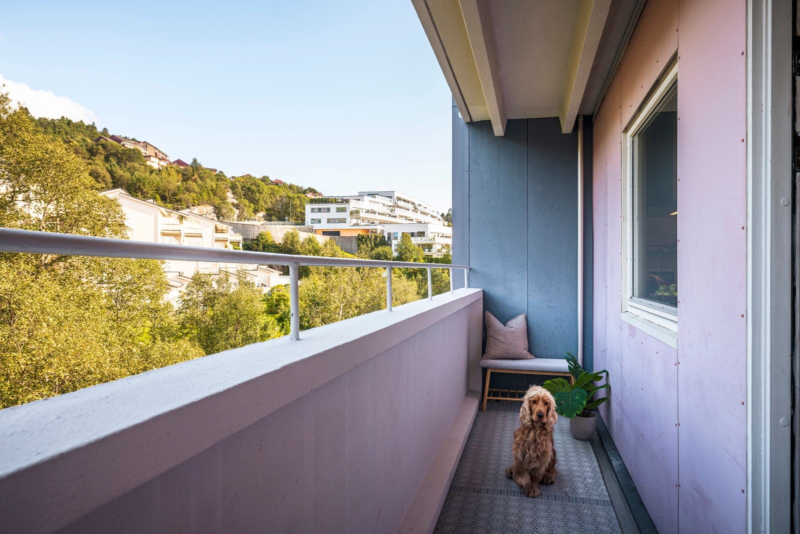 - Svalgangen har sol fra ca. 07-13 - Galleribilde