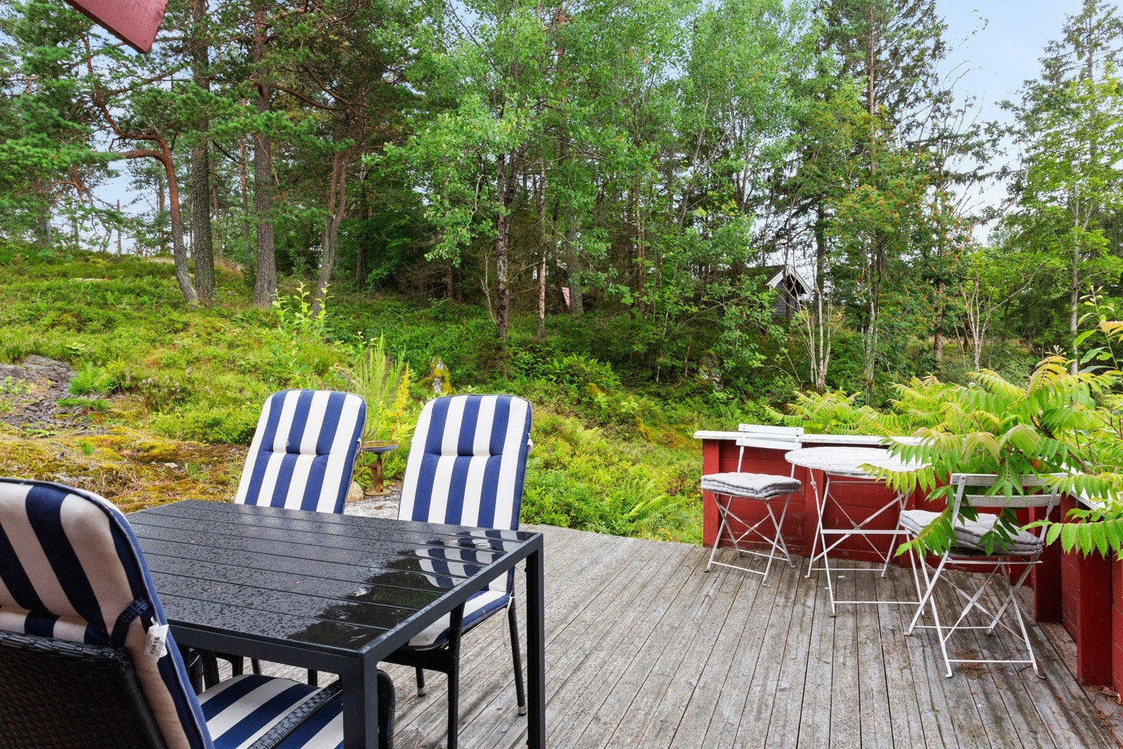 Her nytes dagene med gåturer hvor de plukker markjordbær, blåbær, sopp og tyttebær m.m. Galleribilde