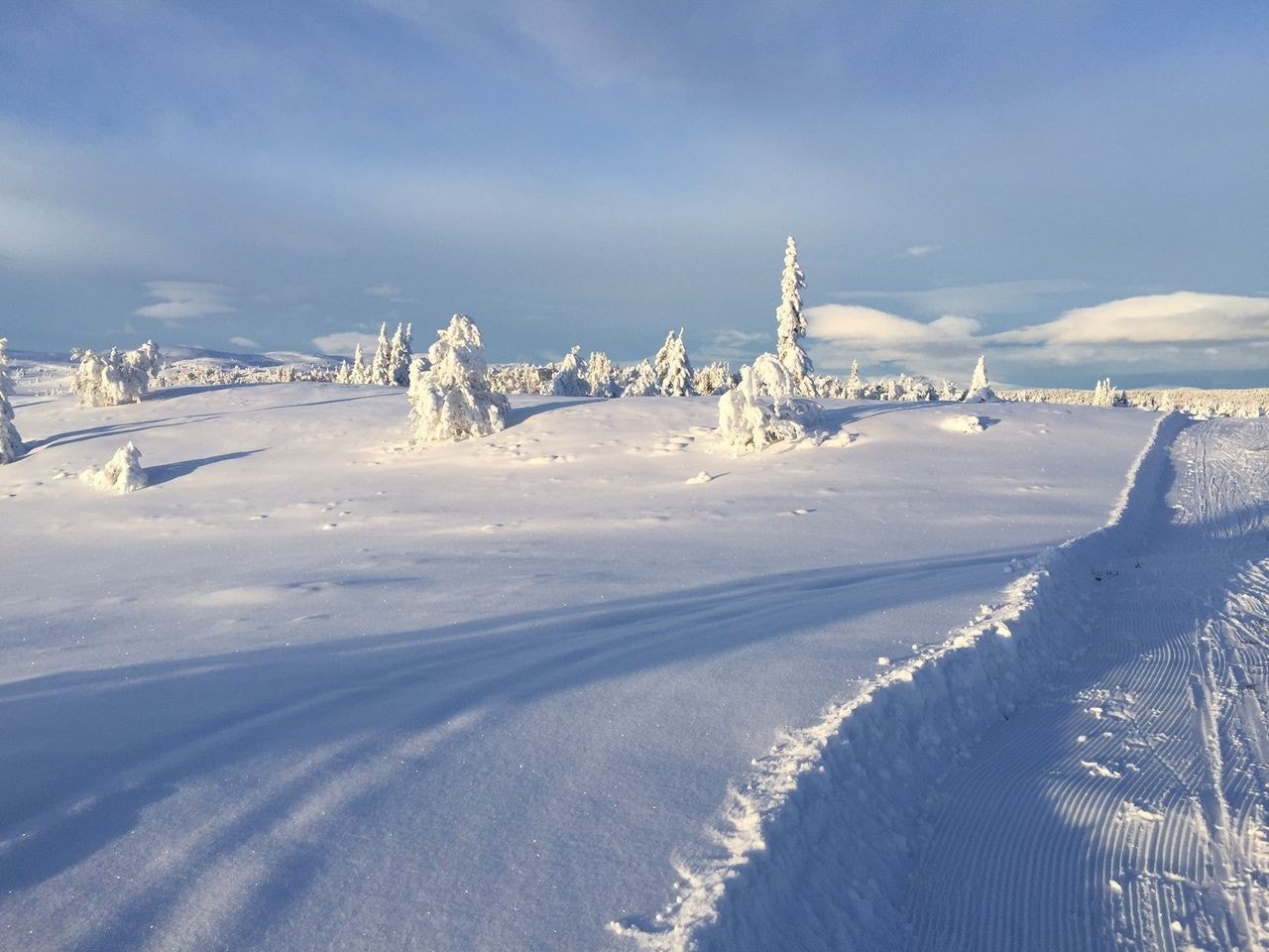 Flotte skiløyper Galleribilde