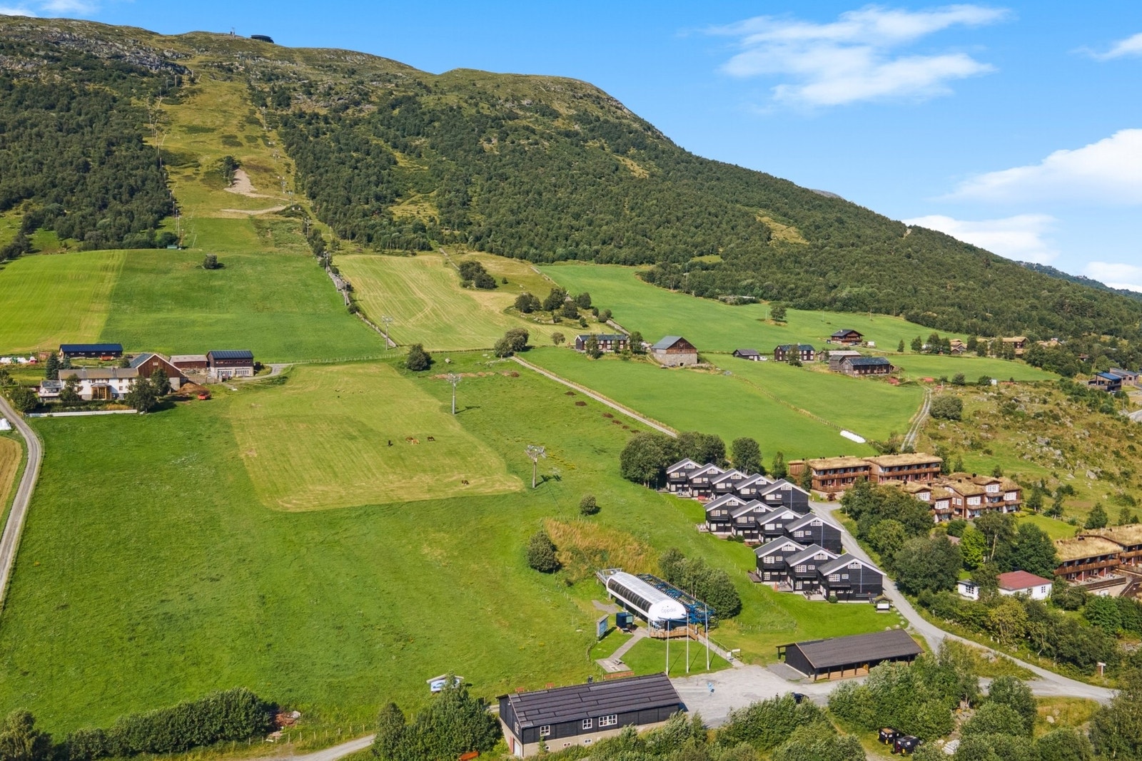 Velkommen til visning! Galleribilde