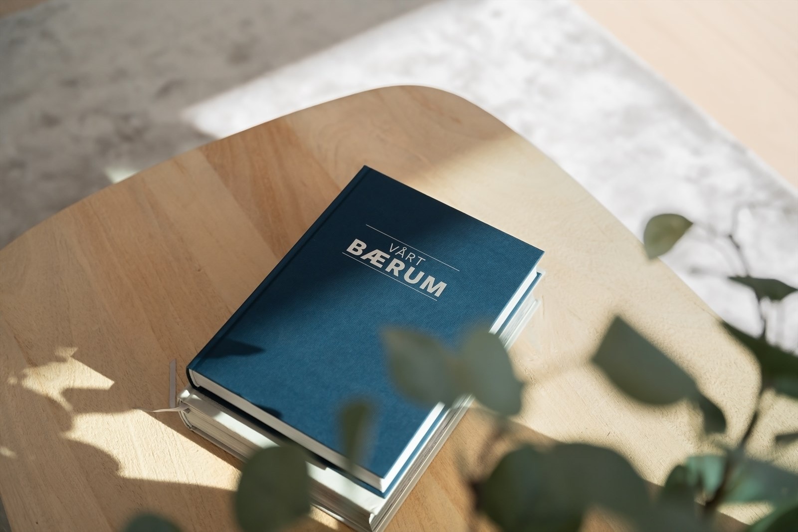 Detalj stue Galleribilde