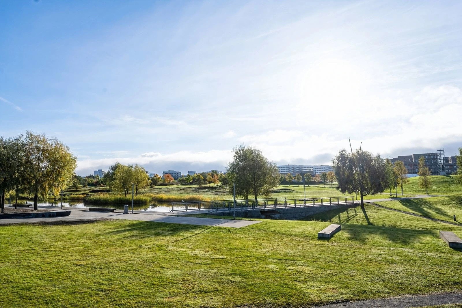 Nansenparken og festplassen foran boligen, sommer Galleribilde