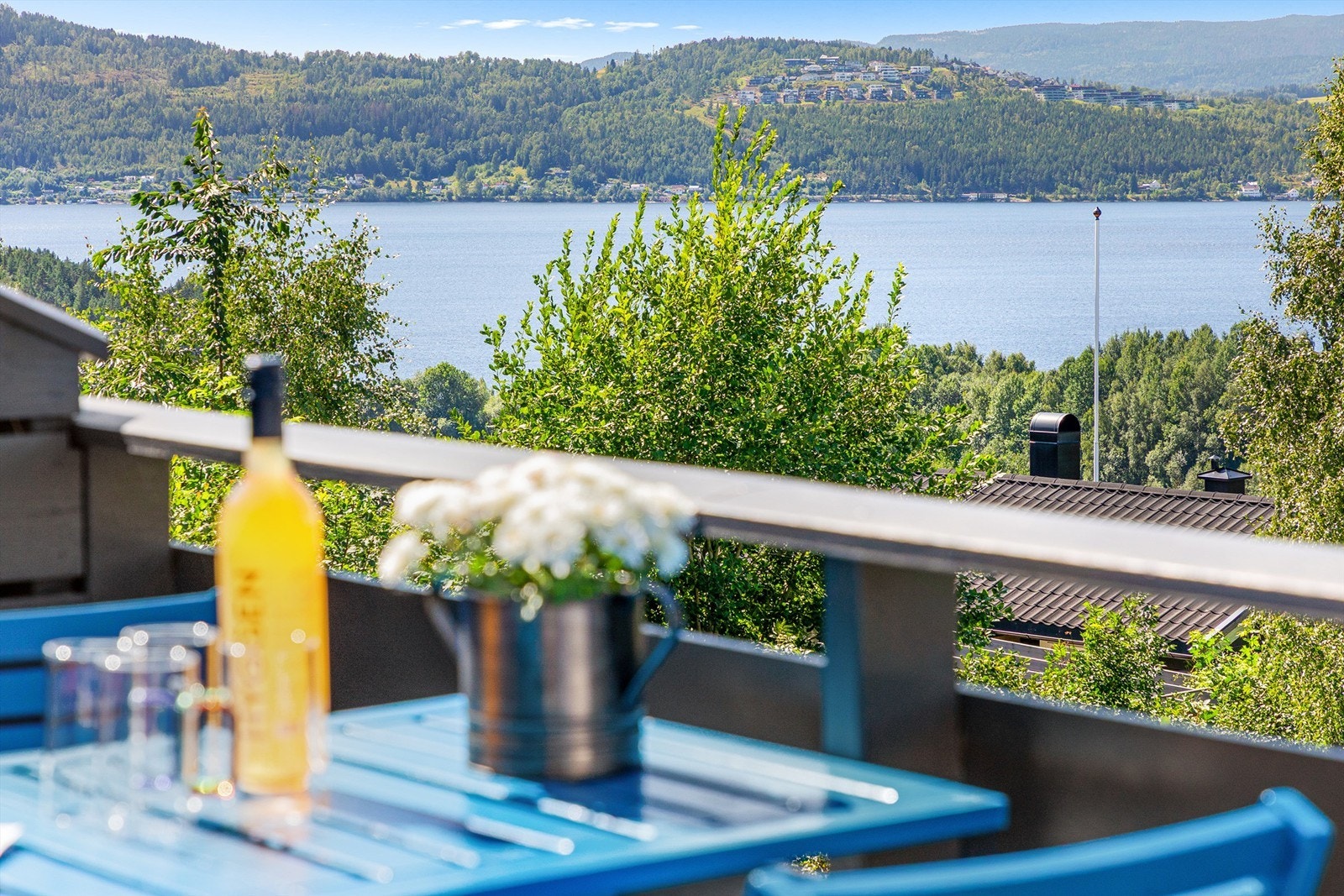 Nydelig utsikt mot Drammensfjorden fra terrassen Galleribilde