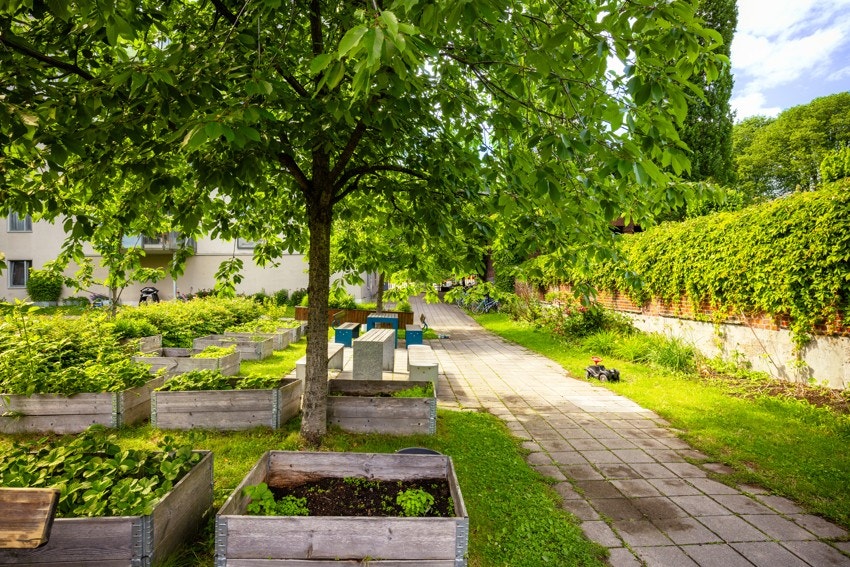 Veldrevet og hyggelig borettslag med 56 leiligheter. Galleribilde