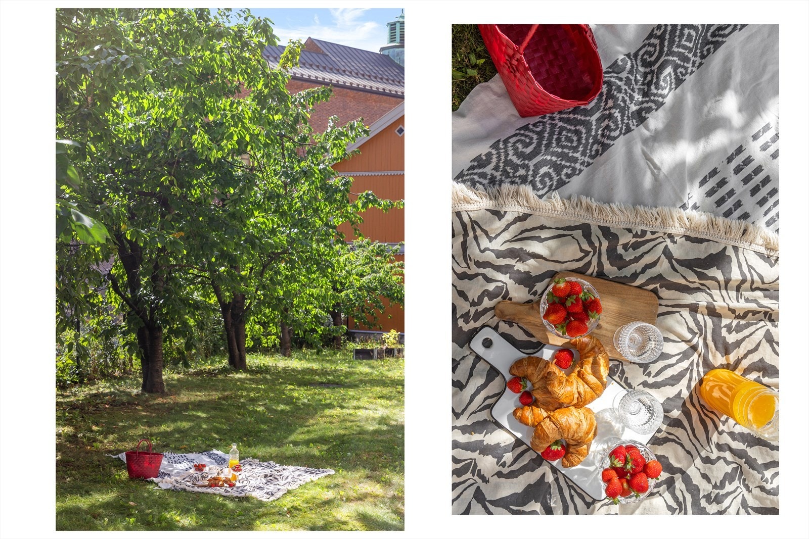 Sameiet har en frodig og idyllisk bakgård med sittegrupper og grill, bærbusker og kirsebærtre. Galleribilde