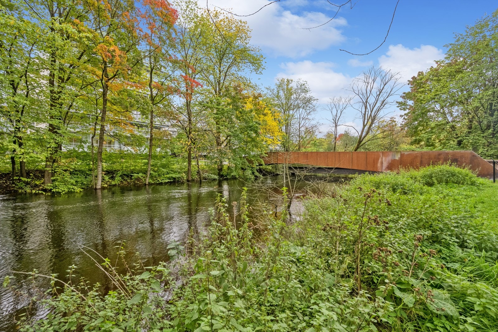 På vår og sommer er det et yrende fugleliv langs Akerselva Galleribilde