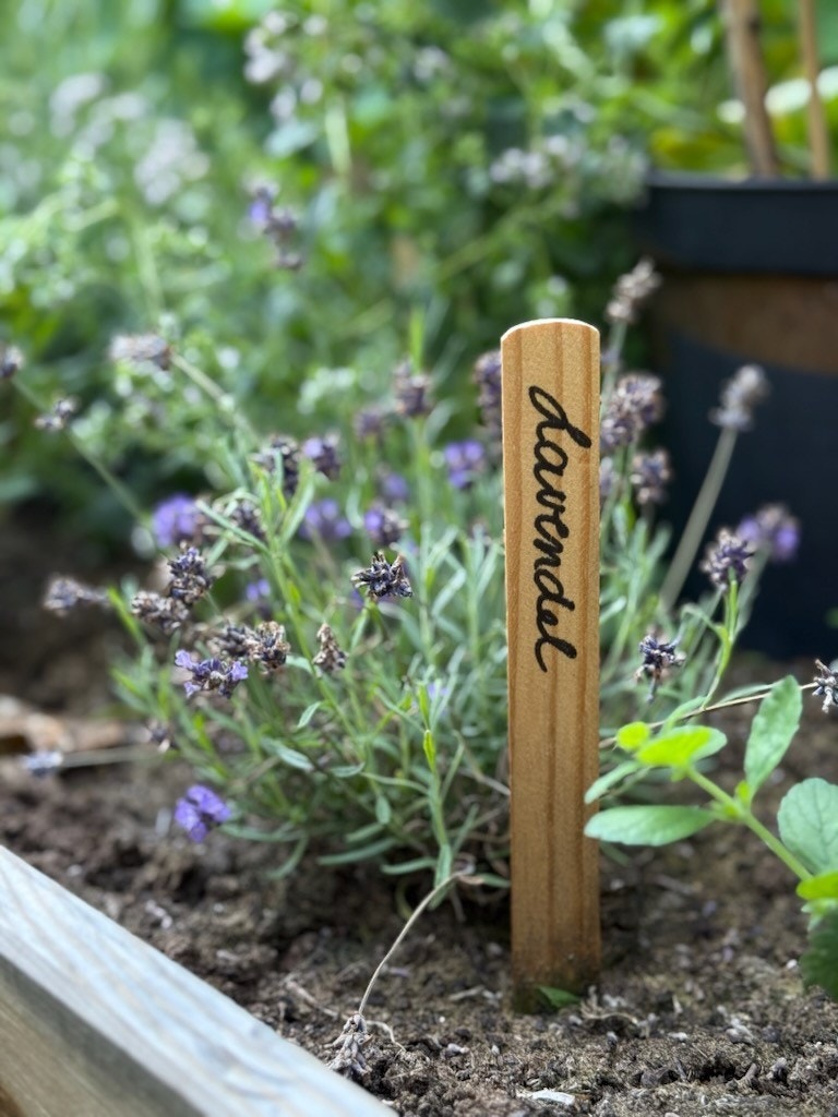 Velkommen til et supertrivelig sameie! Galleribilde