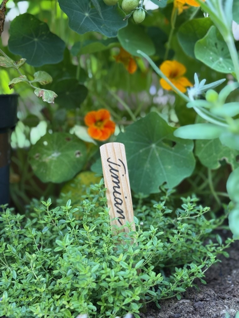 Her dyrker flere urter og grønnsaker Galleribilde