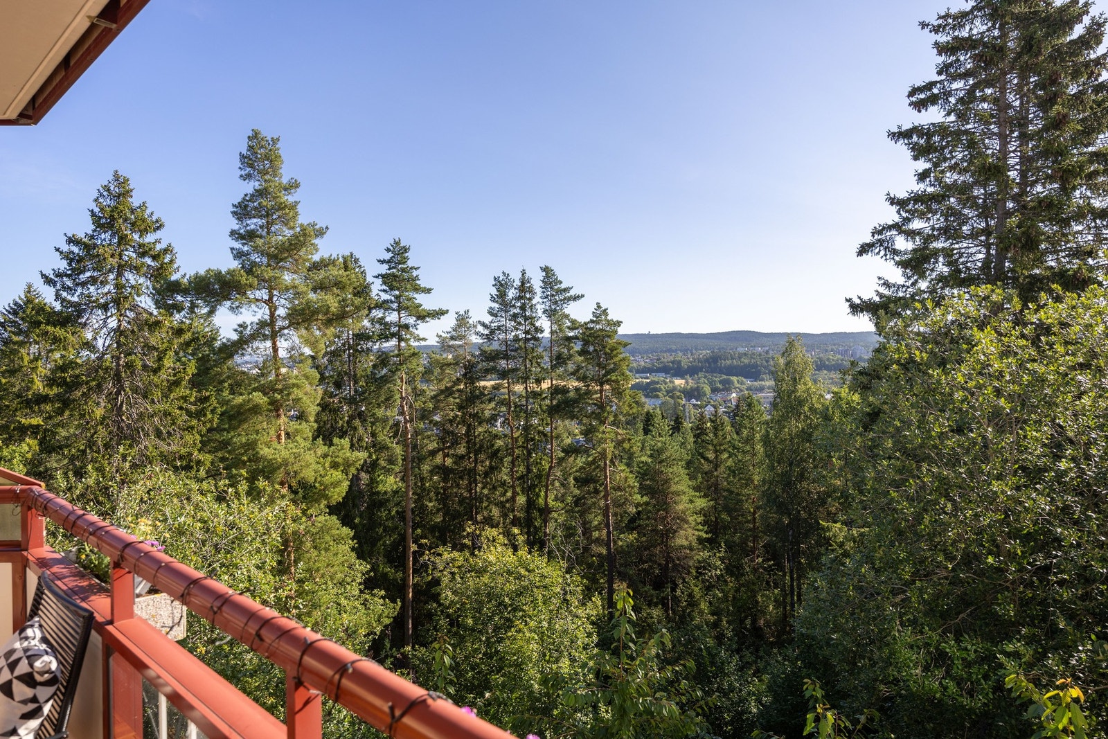 Flott utsikt over nærområdet. Galleribilde